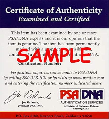 DAN Quisenberry PSA DNA Autograpth League Americam American Oal חתום